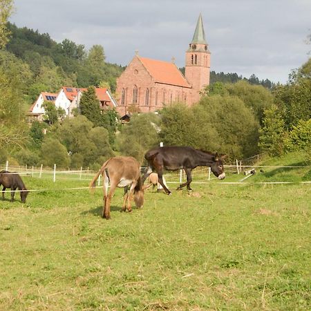 Ferienwohnung Spreter Zimmern ob Rottweil Extérieur photo