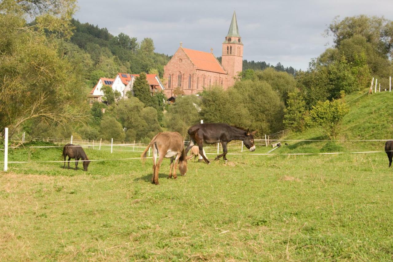 Ferienwohnung Spreter Zimmern ob Rottweil Extérieur photo
